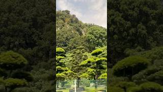 Nature lovers #naturalbeauty #ipoh #greenery #travel