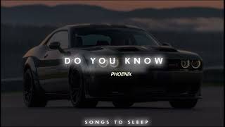 Do You Know Diljit Dosanjh (slowed and reverbed) | PHOENIX