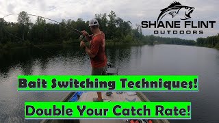 Bait Swap Strategies: Fall Bass Fishing Success with Two Different Lures