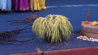 rural women singing folk song