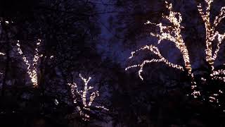 The Eve Of Christmas
 - By Alfred, Lord Tennyson
 - Read by James Kingdon