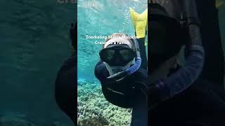 Snorkeling in the world’s largest fish tank😉🤩 #hawaii #mauihawaii #molokinicrater #familyadventure