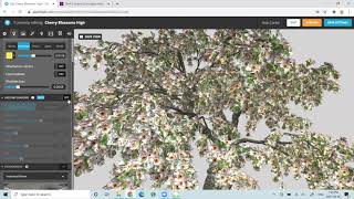 Photogrammetry Training - Sketchfab Lighting