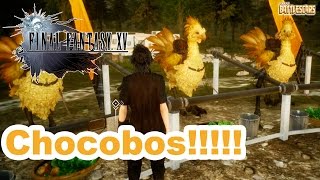 FINAL FANTASY XV - DEMO GAMEPLAY - CHOCOBOS!!!!