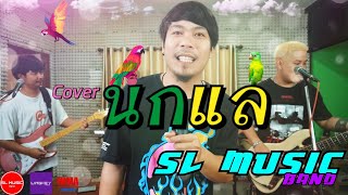 นกแล - นกแล  [SL MUSIC cover]