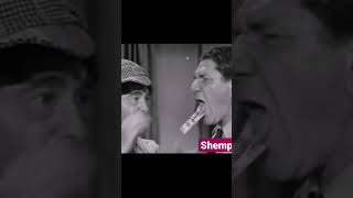 The Three Stooges l Shemp funny clip moments l Part 4