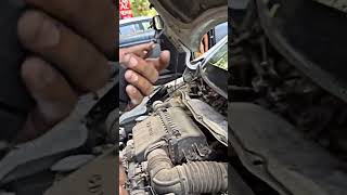 चूहों का PROPER SOLUTION #shorts #crazy #shortvideo #viral #trending #car #trend #viralvideo #tata