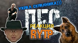 реакция на ритп - Муд Даниэль Бой - Шишки и Чмоника (RYTP #2) И Пёс 2 [RYTP]