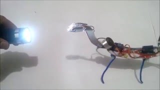 ROBOT KERTENLKELE (FEN ve TEKNOLOJİ OĞRETİMİ )