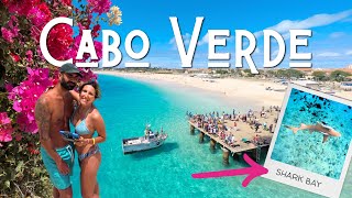 CABO VERDE 🇨🇻 Nadando con TIBURONES LIMÓN en Shark Bay y las mejores playas de la Isla de SAL 🌴