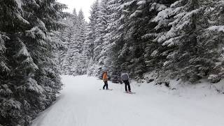 Капрун спуск в лесу Австрия Kaprun