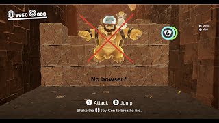 What if you skip bowser in the final stage?