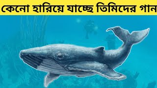 পৃথিবী থেকে কেনো হারিয়ে যাচ্ছে তিমিদের গান Blue Water Singer,Whales supernatural song@FactResearch