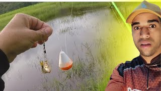 ELE REVELOU COMO PESCAR TRAÍRA COM TÉCNICA INFALÍVEL | REACTE PESCA | PESCARIA DE TRAÍRA