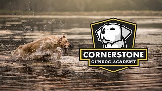 Cornerstone Gundog Academy - Anthem