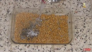 EXPERIMENT: LAVA VS Corn Beans