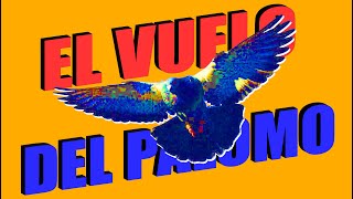 El Vuelo del Palomo de Conquista.  Comparaciones