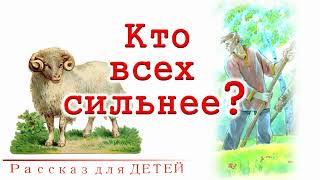 📗 "Кто всех сильнее?" ~ СЛАЙДЫ РАССКАЗ Христианский для ДЕТЕЙ 👧☀️