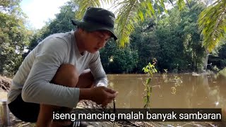 iseng-isen mancing || dapat banyak sambaran !!