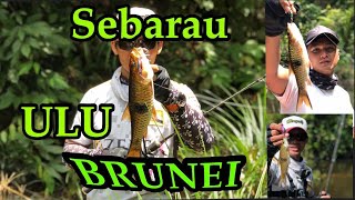 Sebarau Ulu Brunei