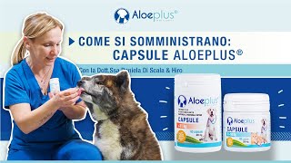 Come si somministrano le capsule Aloeplus?