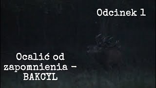 Odcinek 1 - Ocalić od zapomnienia - BAKCYL