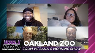 Oakland Zoo Talks Reopening And Fundraising To Help The Animals