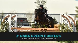 Alyssia Martin and First Impression - NSBA 3’ Green Hunters World Equestrian Center WEC Horse Show