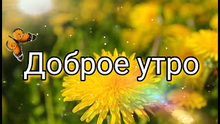 Доброе утро ☀️ Музыкальная открытка