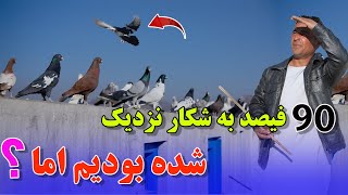 آیادراین آب هوا امسال کفتربازی خواهد شد /083Afghan Shawqi