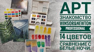 АРТ знакомство. Акварель Winsor&Newton Professional, 14 цветов. Сравнение с Белыми ночами.