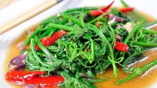 Thai Food - Fried Bitter Gourd Stem with Oyster Sauce (Yod Ma Ra Pad Nam Man Hoi)