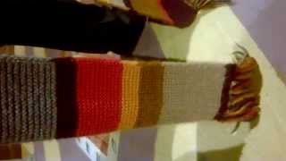 Vlog -- FEST CON WHOVIANS Dalek and Fourth Doctor Cosplay