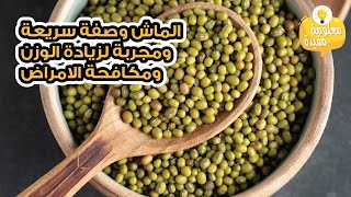 الماش وصفة سريعة ومجربة لزيادة الوزن ومكافحة الامراض