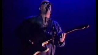 Frank Black - Adda Lee (live)