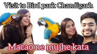 African birds in Chandigarh Bird park in Chandigarh | Must Visit place for nature lover | #nature