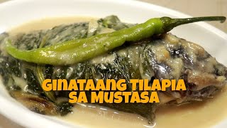 Ginataang Tilapia sa Mustasa