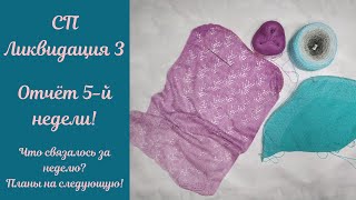 Отчёт 5-й недели СП Ликвидация 3! Новые процессы и ажурная нежность!