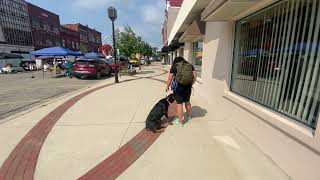 Mina | 6 month old Rottweiler | Off Leash k9 Training