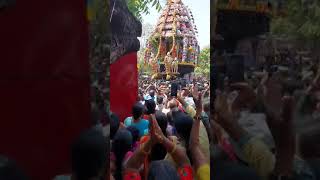 Sri Kapaleeswarar Temple’s annual Panguni uthira brahmotsavam  Mylapore திருத்தேர்  கபாலீஸ்வரர்