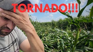 TORNADO TAKES DOWN ACRES OF OUR CORN FIELDS?!!!