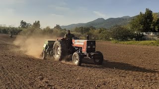 *SEMINA MEDICA* FIATAGRI 65-66S / SEMINATRICE I.M.A. LA ROCCA