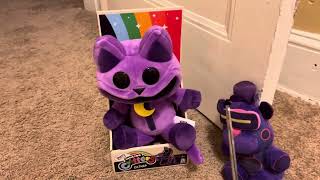 Unboxing video catnap