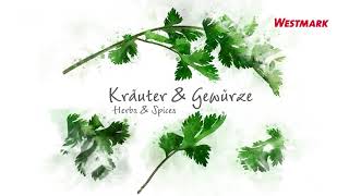 Kräuter und Gewürze I Herbs and spices