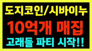 [도지코인/시바이누/마스크네트워크]  2천3백억원어치 샀다!! 고래들 본격적인 랠리 임박!!