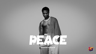 "Peace" Wizkid x H.E.R Type beat