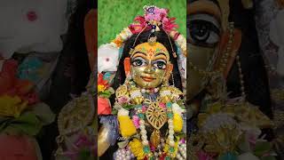 16th Day of Chandan Yatra 2024 || Daily Wonderful Radha Madhava Darshan #isckon #wonderful