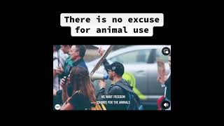 No Excuse for Animal Use