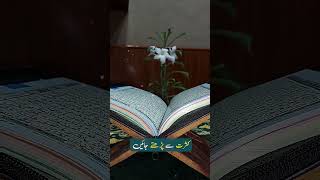 Dr. Tahir ul Qadri - Quran ki Talawat