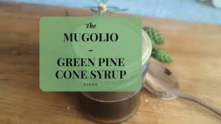 How to Make Mugolio (Pine Cone Syrup) - A Delicious and Easy Recipe 🌲🌿